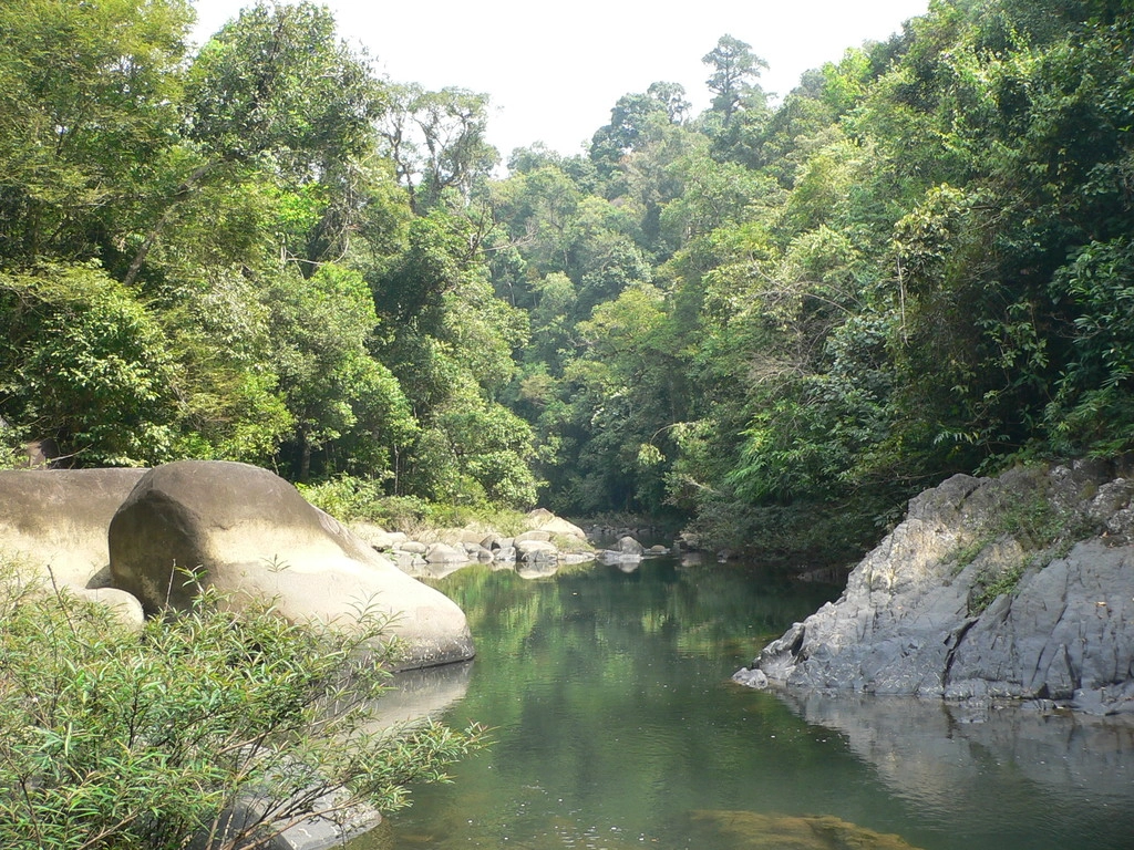 Khao Sok - Kdesi v
pralese